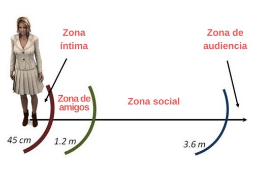 zona-intima